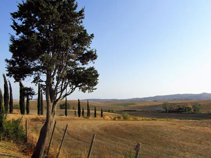 Immagine 21 di Trilocale in vendita  in Via Orcianese 6 6 a Collesalvetti