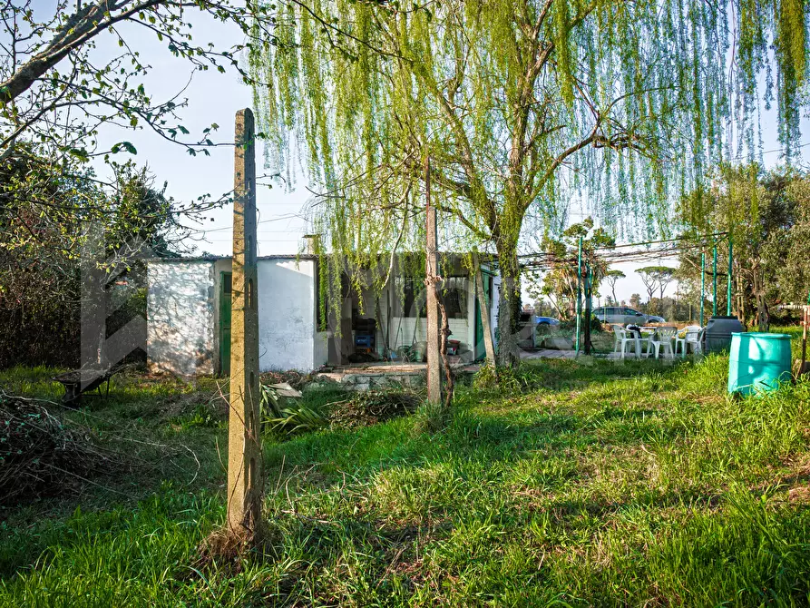 Immagine 8 di Terreno agricolo in vendita  in Via delle Sorgenti a Livorno
