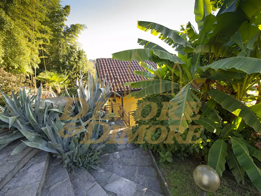 Immagine 11 di Villa in vendita  a Ghiffa