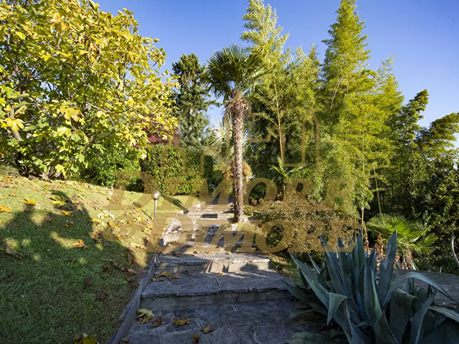 Immagine 10 di Villa in vendita  a Ghiffa