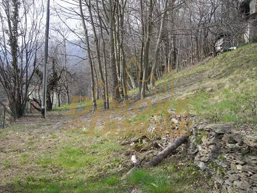 Immagine 35 di Rustico / casale in vendita  in via San Gaudenzio 14 a Verbania