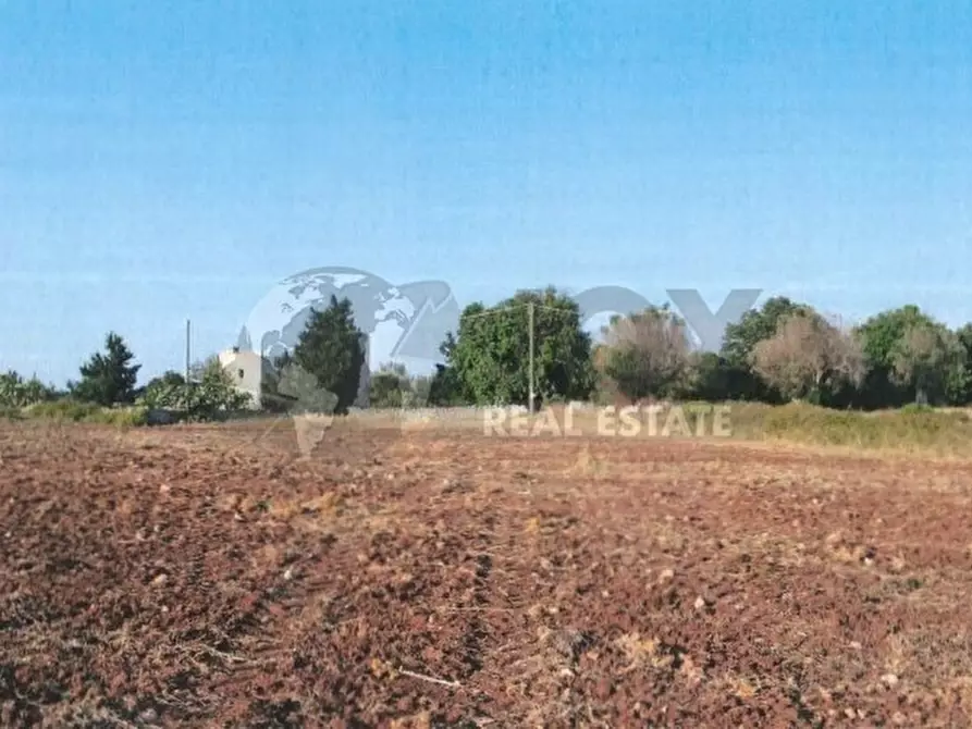 Immagine 5 di Terreno agricolo in vendita  in Via del Codibugnolo a Lecce