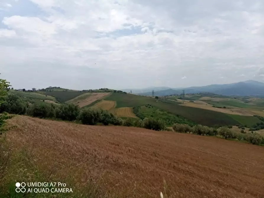 Immagine 2 di Terreno agricolo in vendita  in LOCALITA' CATOSCIO a Castel Frentano