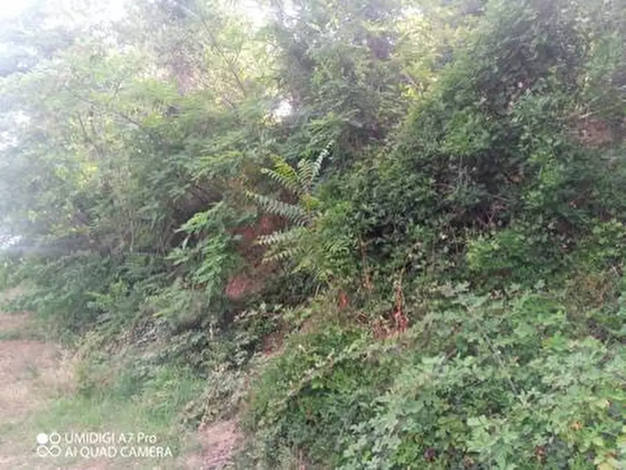 Immagine 25 di Terreno agricolo in vendita  in C.DA VILLA STANAZZO a Lanciano