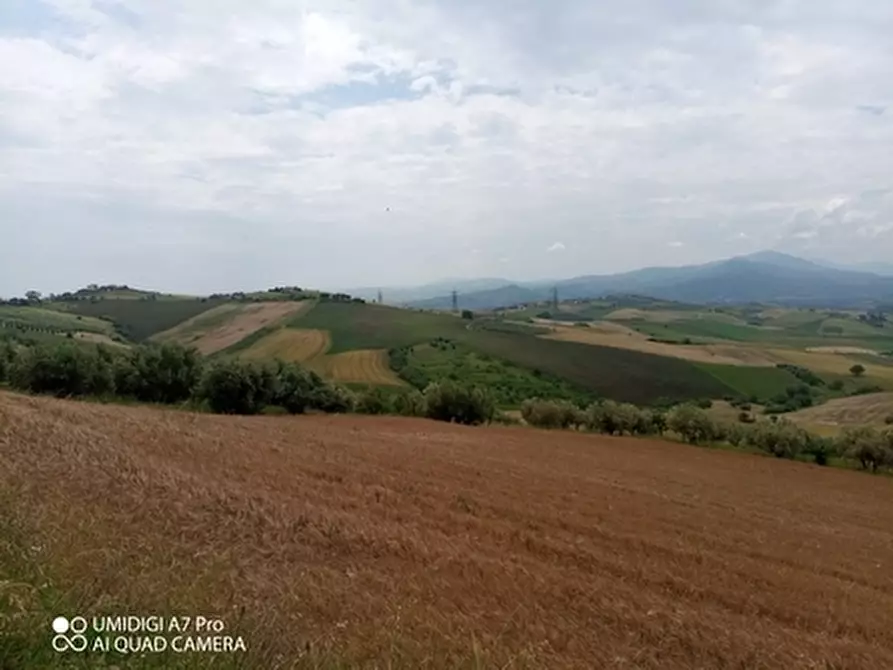 Immagine 3 di Terreno agricolo in vendita  in LOCALITA' CATOSCIO a Castel Frentano
