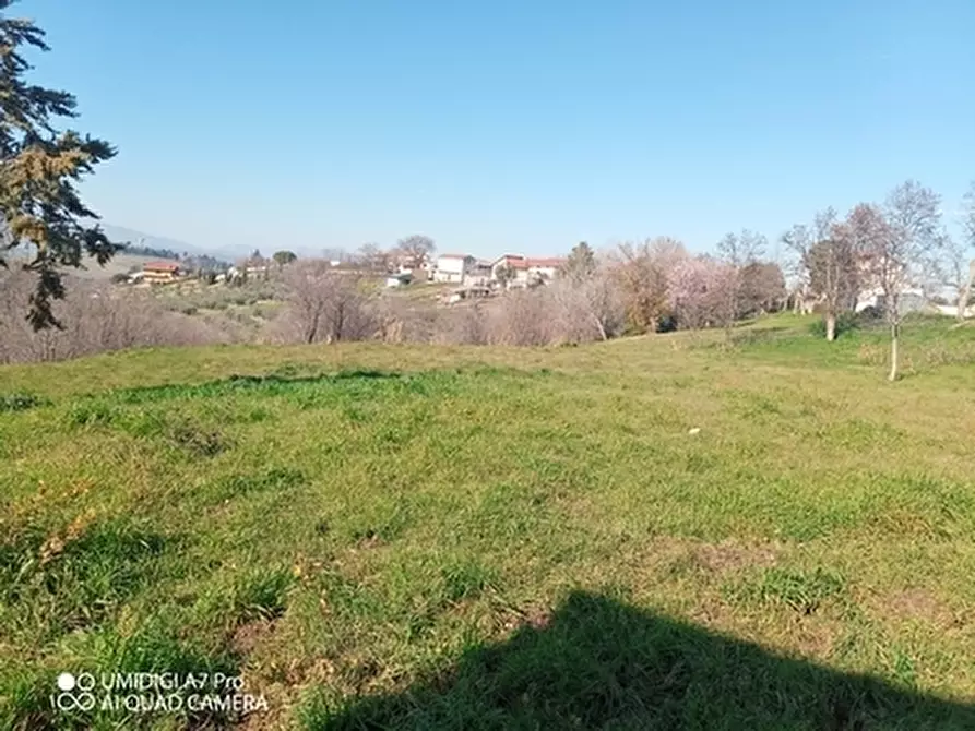Immagine 7 di Rustico / casale in vendita  in CONTRADA MORGE a Castel Frentano