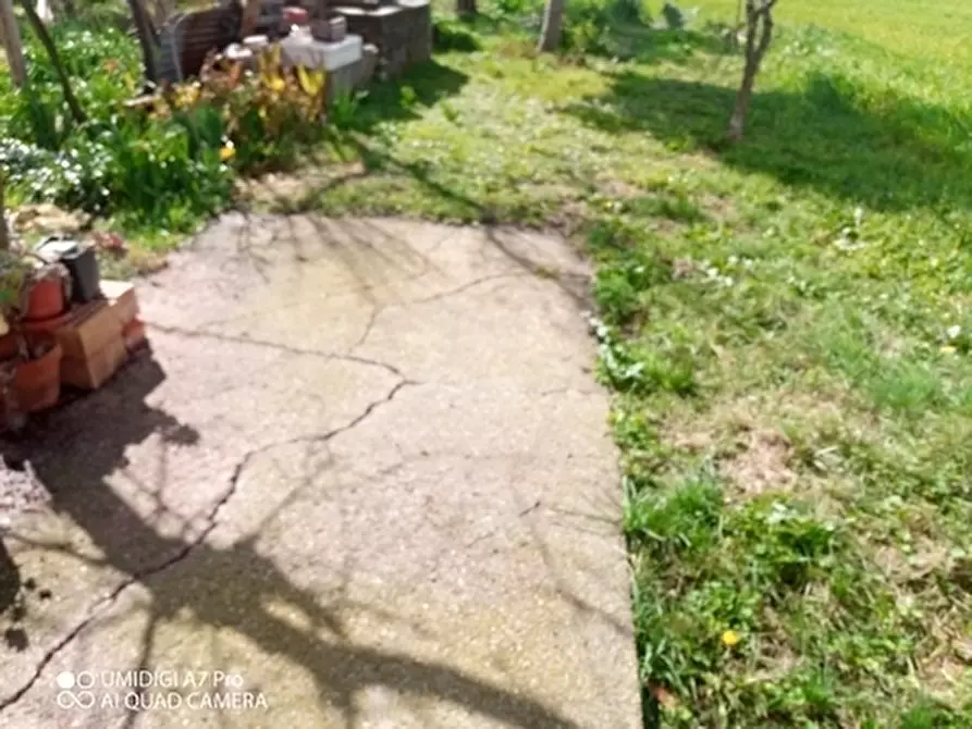 Immagine 11 di Terreno agricolo in vendita  a Fossacesia