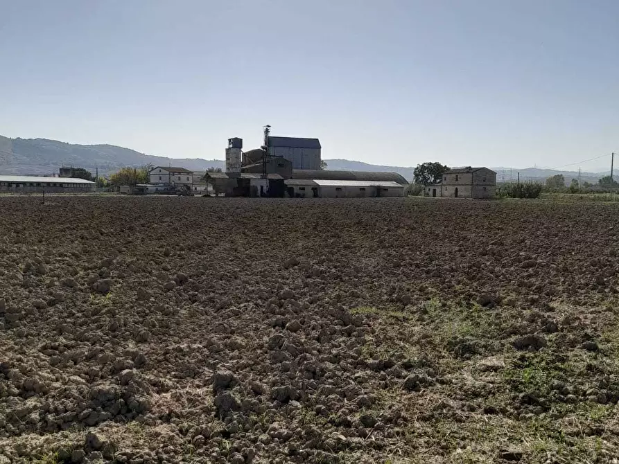 Immagine 36 di Attività artigianale in vendita  in C.DA PIANA LA BARCA a Paglieta