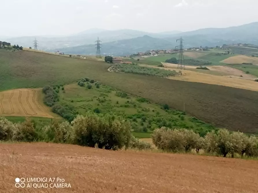 Immagine 6 di Terreno agricolo in vendita  in LOCALITA' CATOSCIO a Castel Frentano