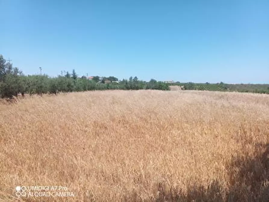 Immagine 6 di Terreno industriale in vendita  in VIA CUNA RE DI COPPE a Lanciano