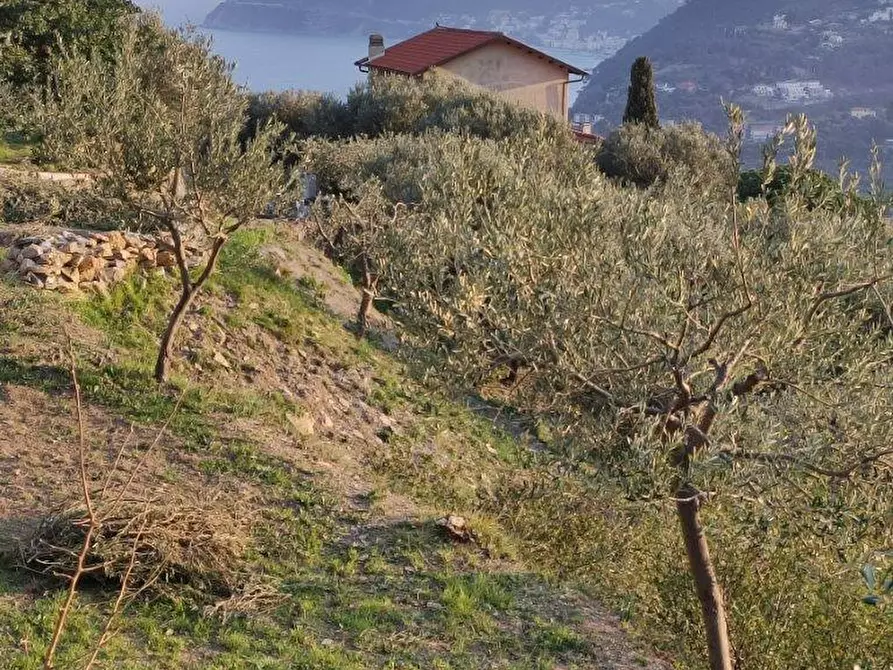 Immagine 1 di Terreno industriale in vendita  in Via Range' a Alassio