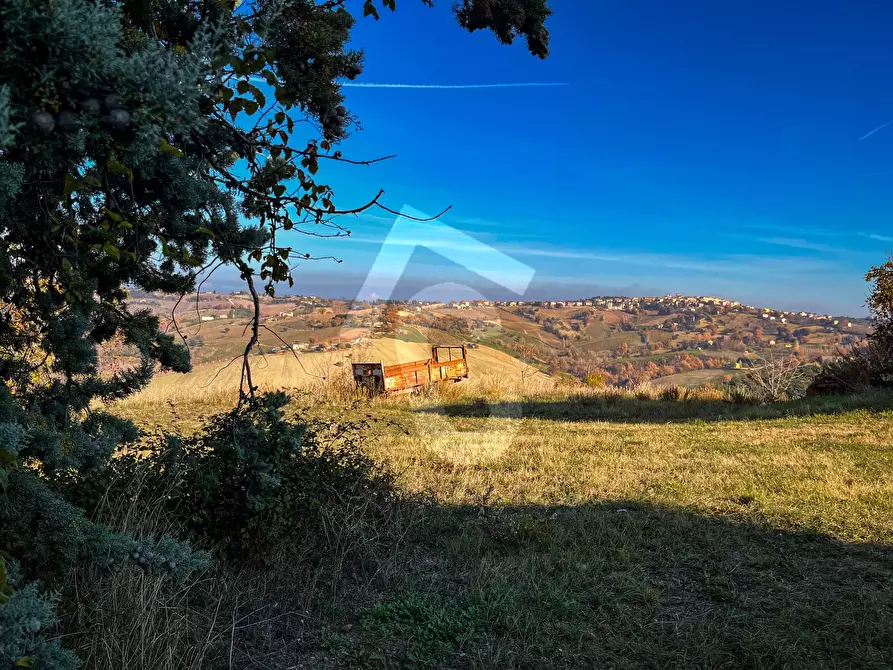 Immagine 9 di Rustico / casale in vendita  a Staffolo