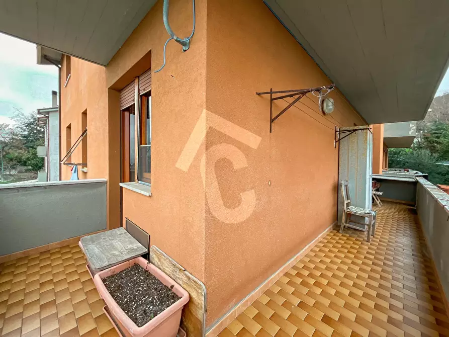 Immagine 6 di Quadrilocale in vendita  a Monsano