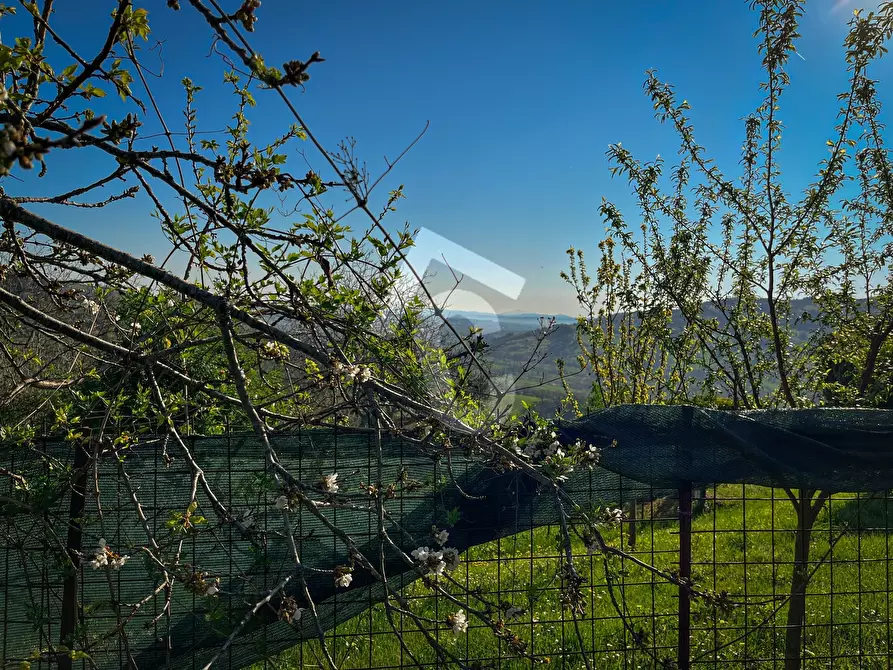 Immagine 44 di Rustico / casale in vendita  a Rosora