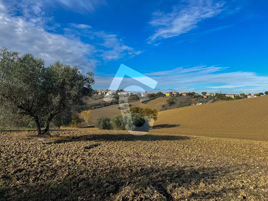 Immagine 6 di Rustico / casale in vendita  a Belvedere Ostrense