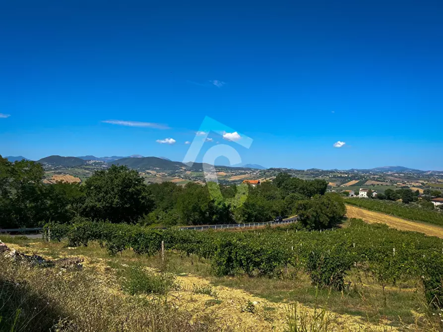 Immagine 5 di Terreno agricolo in vendita  a Montecarotto