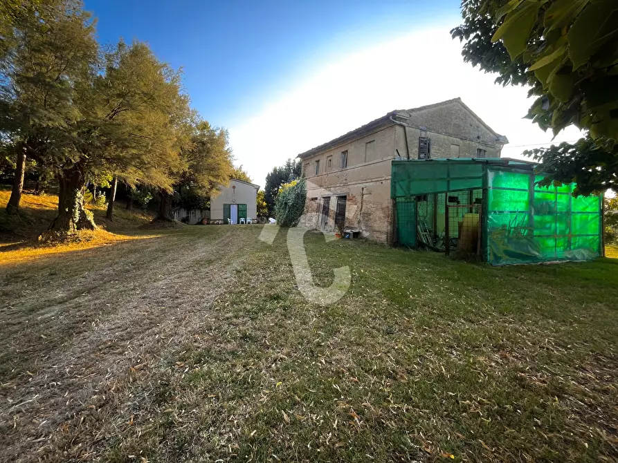 Immagine 15 di Rustico / casale in vendita  a Jesi