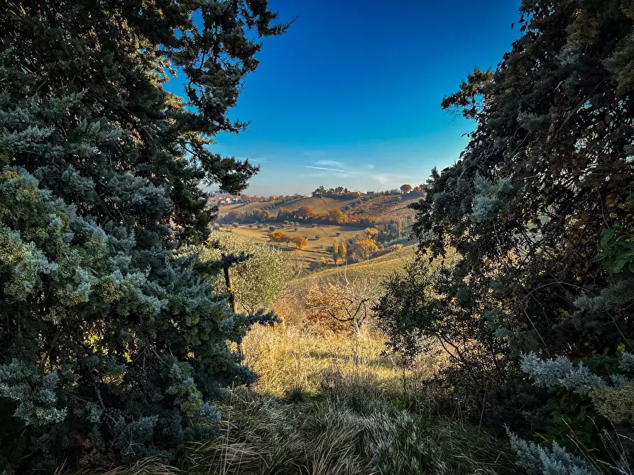 Immagine 5 di Rustico / casale in vendita  a Staffolo