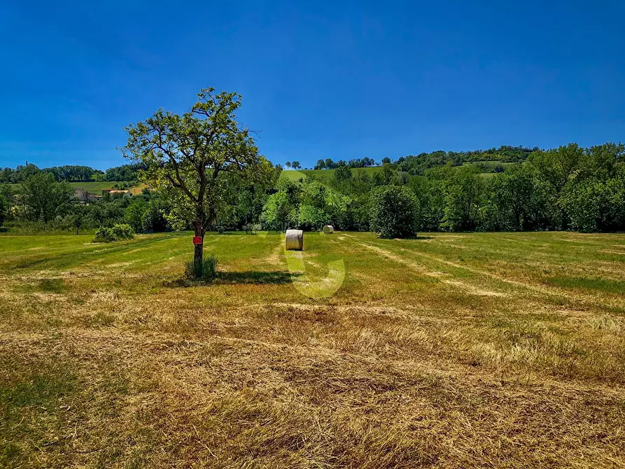 Immagine 3 di Rustico / casale in vendita  a Trecastelli