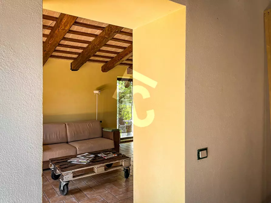 Immagine 35 di Rustico / casale in vendita  a Serra San Quirico