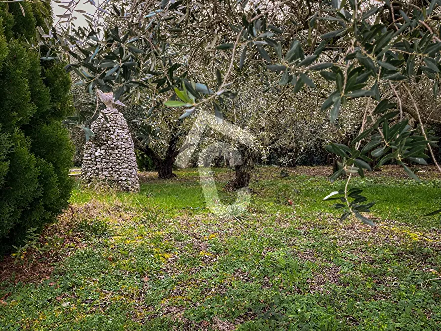 Immagine 25 di Terreno edificabile in vendita  a Jesi