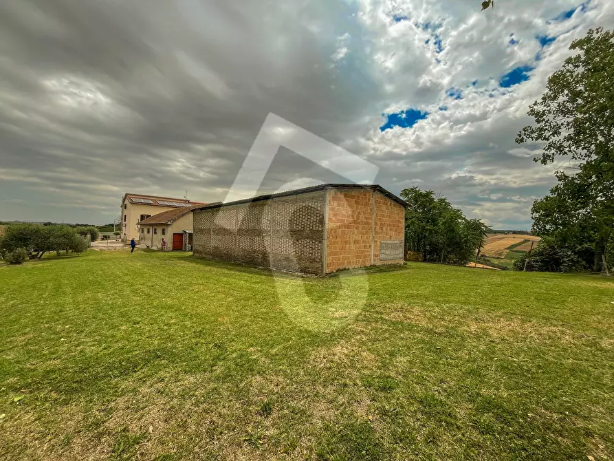 Immagine 16 di Casa indipendente in vendita  a Jesi