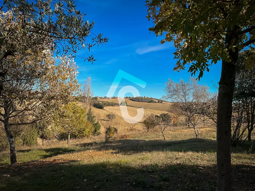 Immagine 11 di Rustico / casale in vendita  a Senigallia