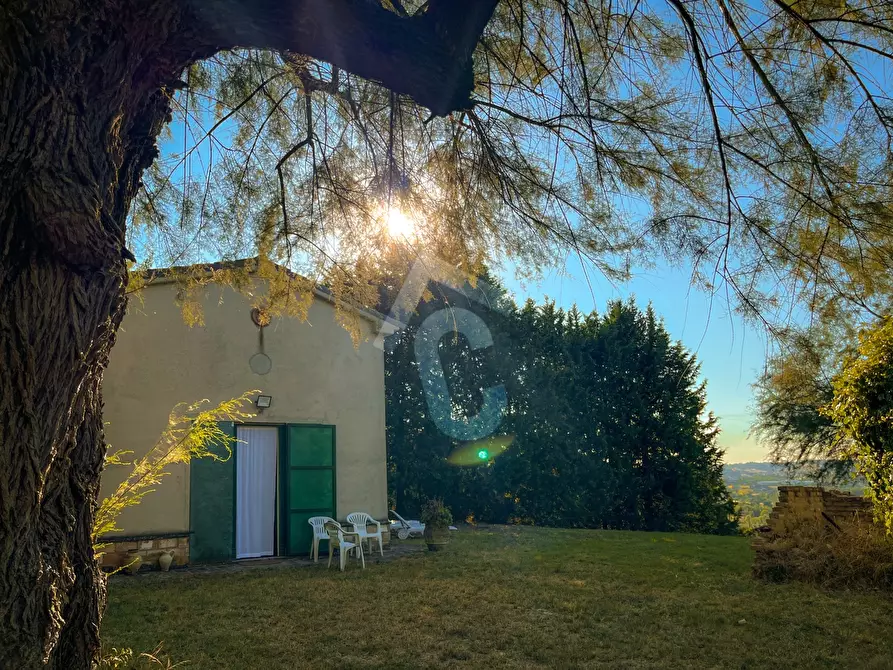 Immagine 16 di Rustico / casale in vendita  a Jesi