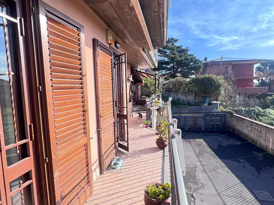 Immagine 19 di Appartamento in vendita  a Mascalucia