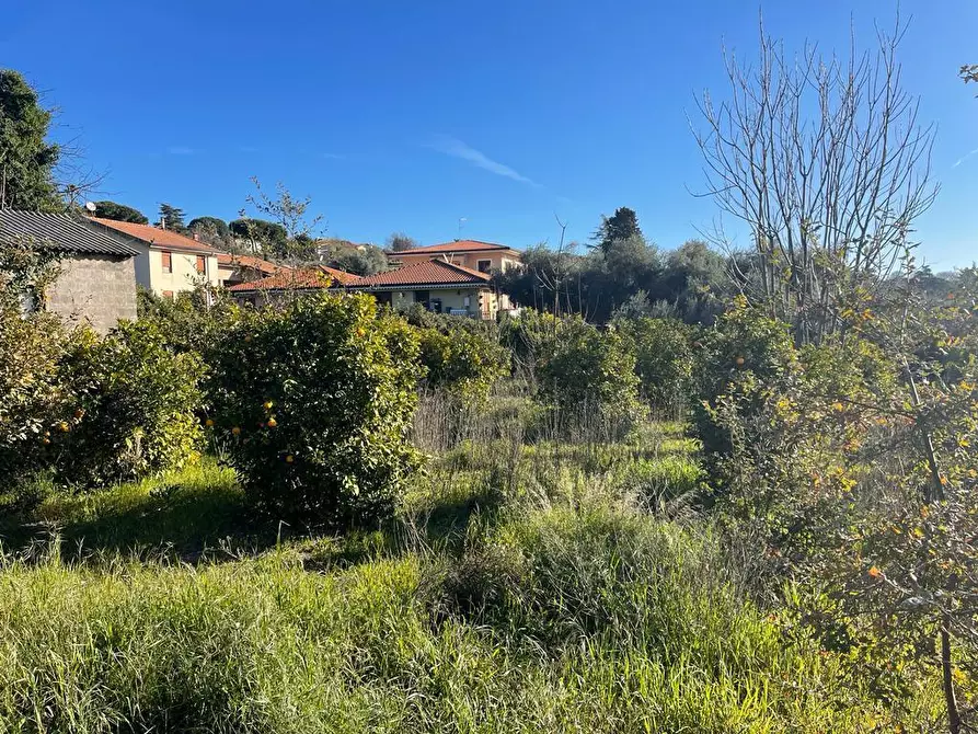 Immagine 7 di Terreno industriale in vendita  a Trecastagni