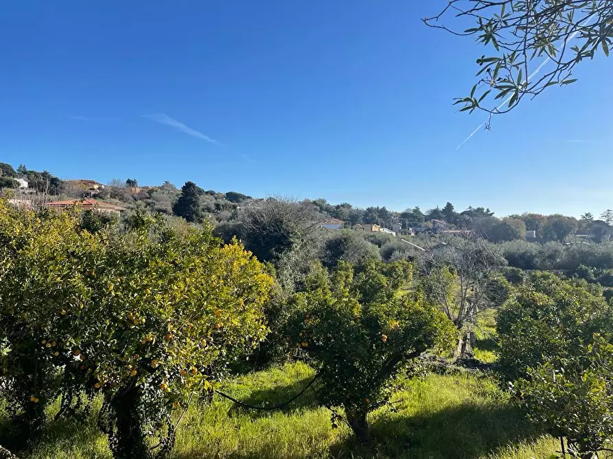 Immagine 4 di Terreno industriale in vendita  a Trecastagni