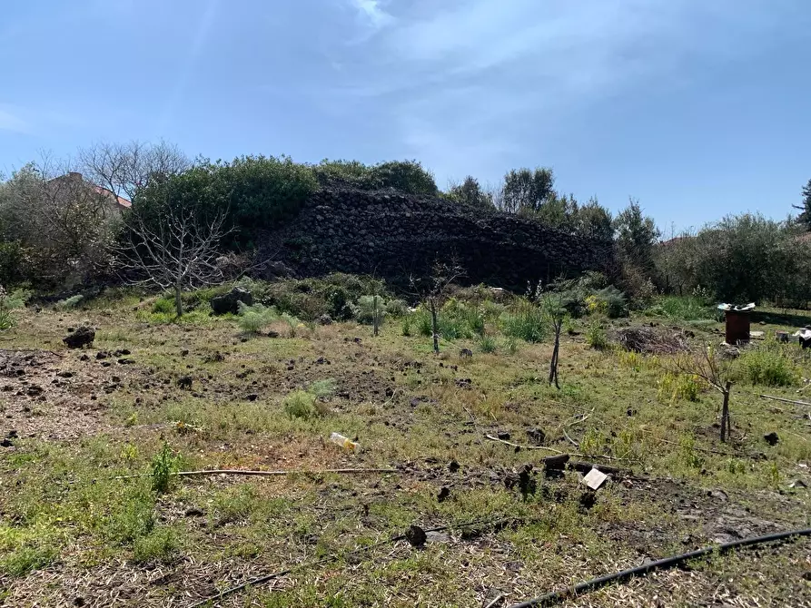 Immagine 13 di Terreno agricolo in vendita  a Pedara