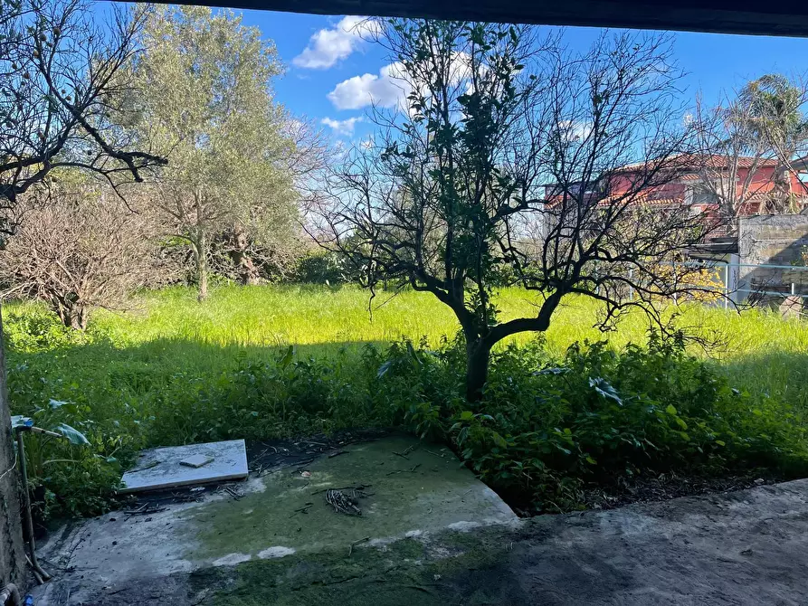 Immagine 7 di Villa in vendita  a Tremestieri Etneo