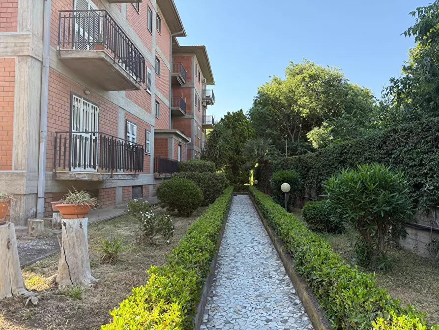 Immagine 26 di Appartamento in vendita  a Gravina Di Catania