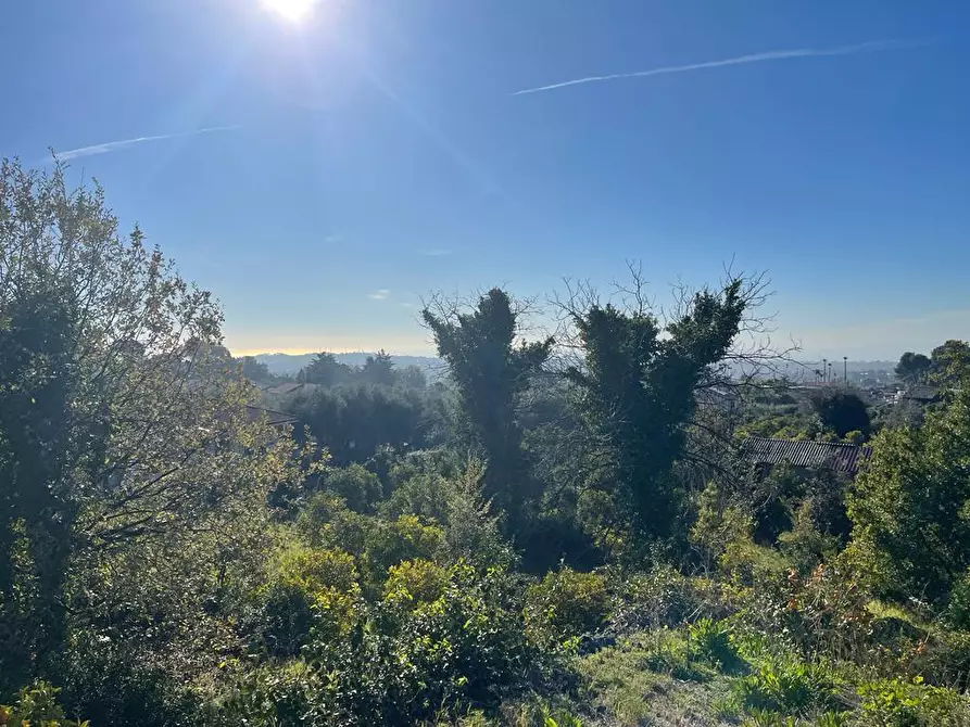 Immagine 25 di Terreno industriale in vendita  a Trecastagni