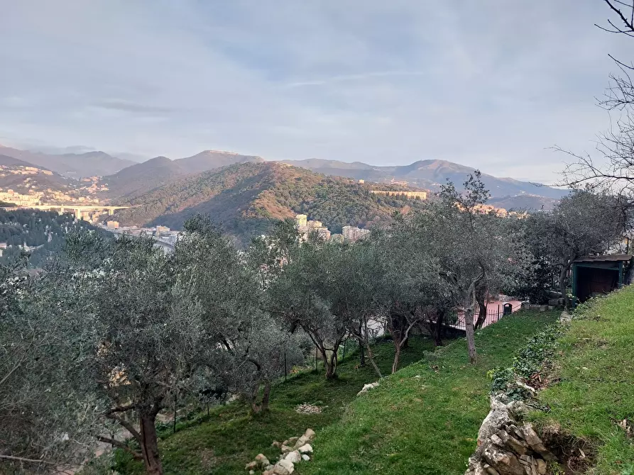 Immagine 37 di Trilocale in vendita  in Via San Pantaleo a Genova