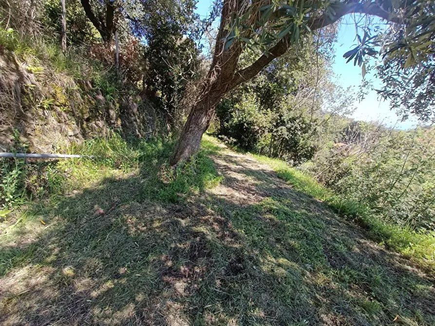 Immagine 20 di Casa indipendente in vendita  in Via Campomarzio 9 a Varazze