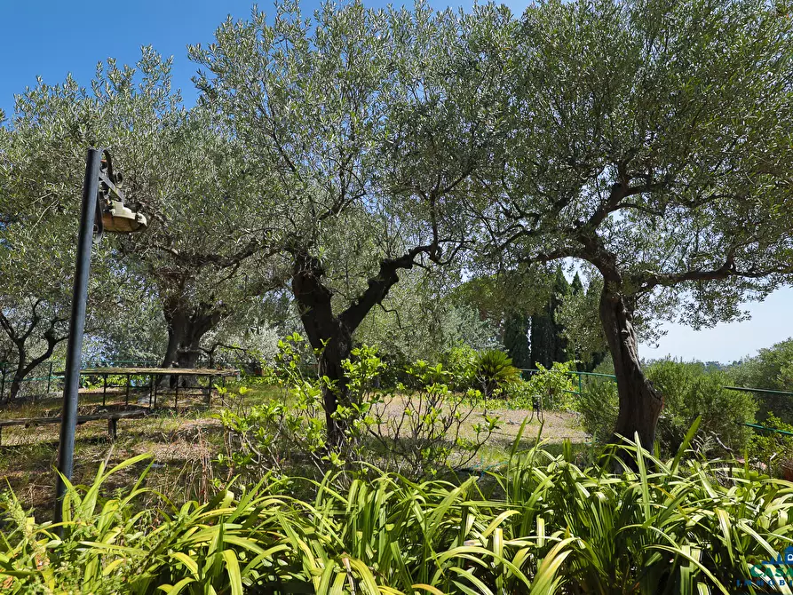 Immagine 4 di Villa in vendita  in Via Livio Canale 72 a Varazze