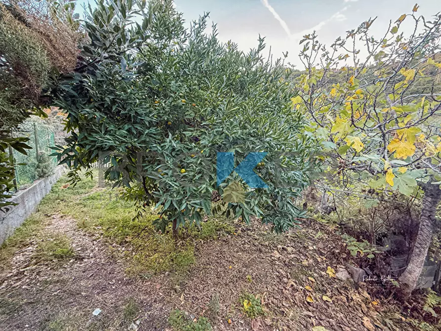 Immagine 30 di Casa indipendente in vendita  in Regione Fenarina 5 a Alassio