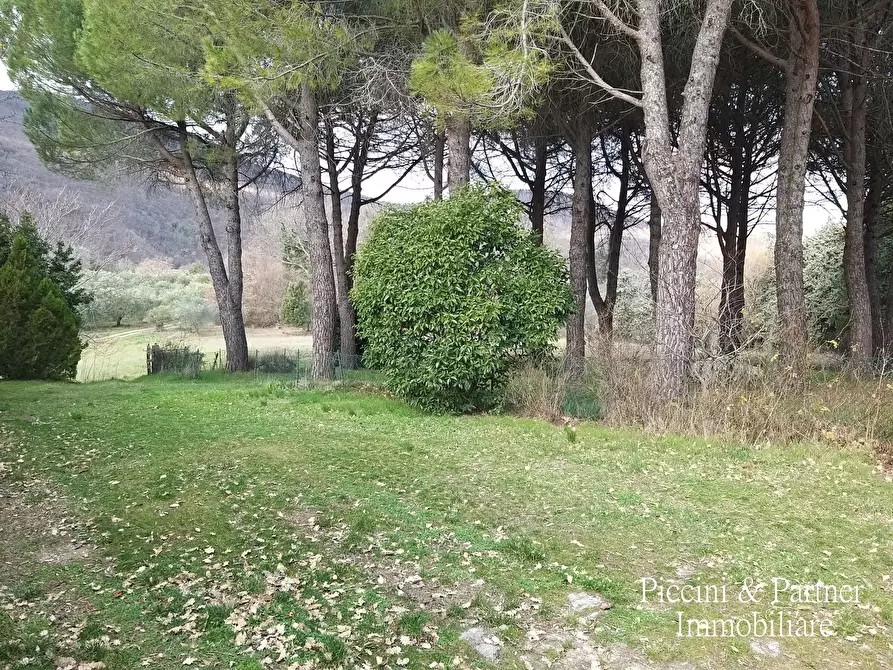 Immagine 46 di Rustico / casale in vendita  in Strada Vic. della Montagna 9 a Cetona