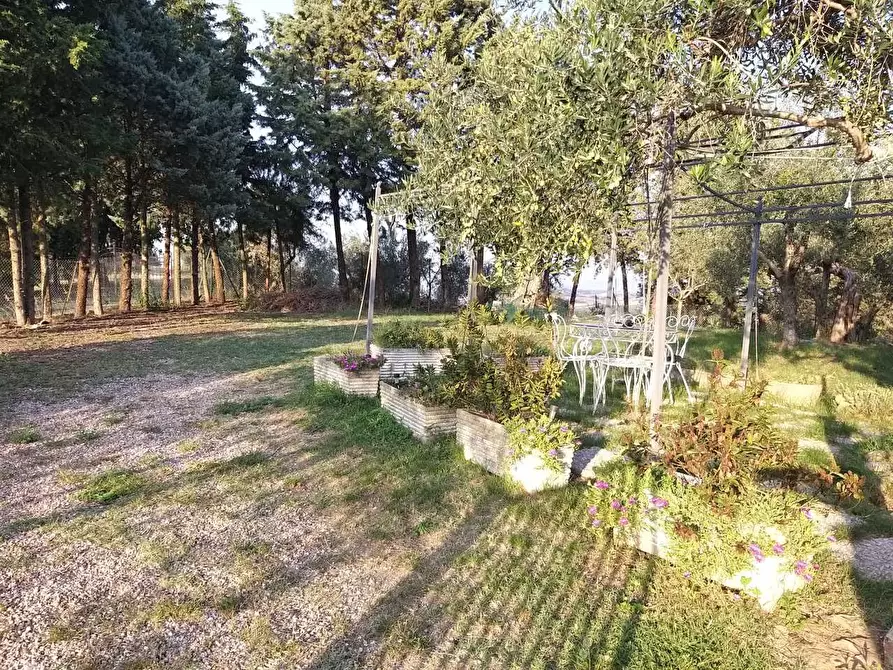 Immagine 44 di Rustico / casale in vendita  in Vocabolo Coccimignolo 37 a Marsciano