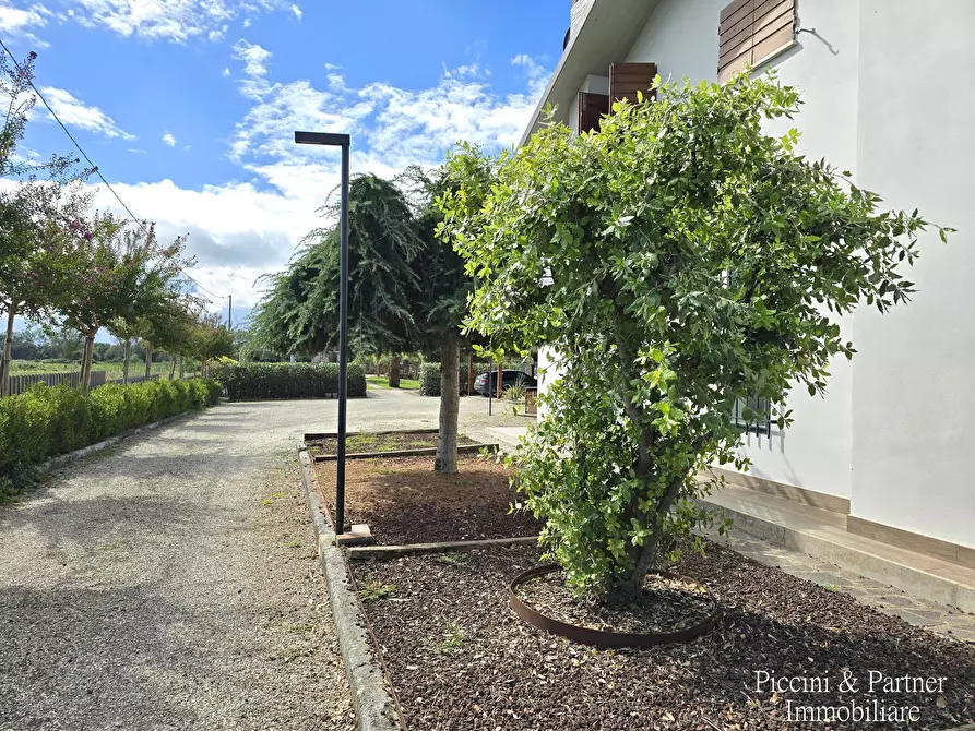 Immagine 76 di Villa in vendita  in Località Bertoni a Castiglione Del Lago