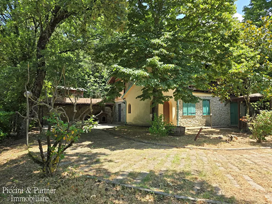 Immagine 4 di Baita in vendita  in Via dei Cespugli 10 a Passignano Sul Trasimeno