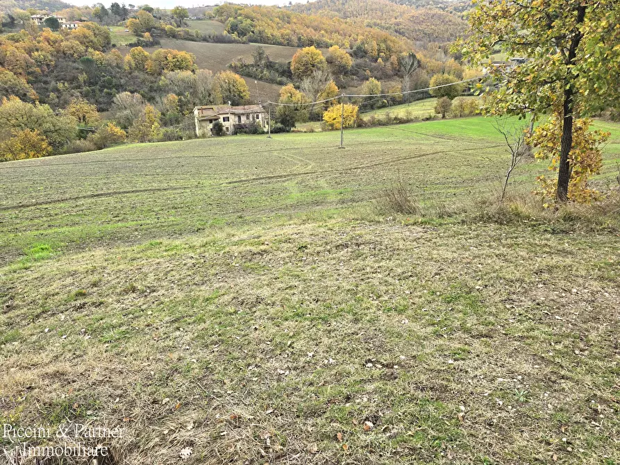 Immagine 9 di Terreno agricolo in vendita  in Località Colonnata a Gubbio