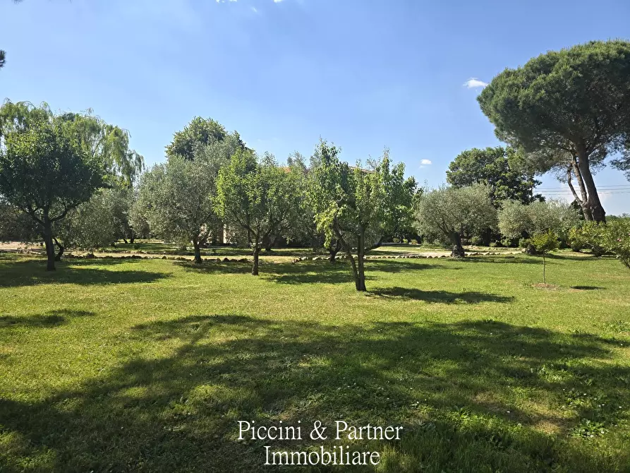 Immagine 5 di Villa in vendita  in Località Castagni 2 a Castiglione Del Lago