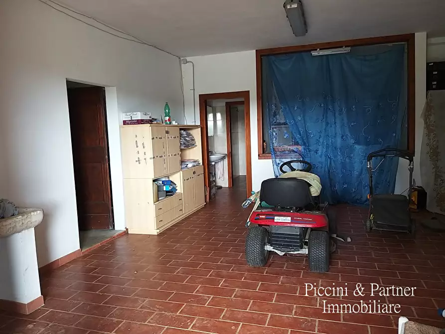 Immagine 15 di Azienda agricola in vendita  in Via Soccorso a Castiglione Del Lago