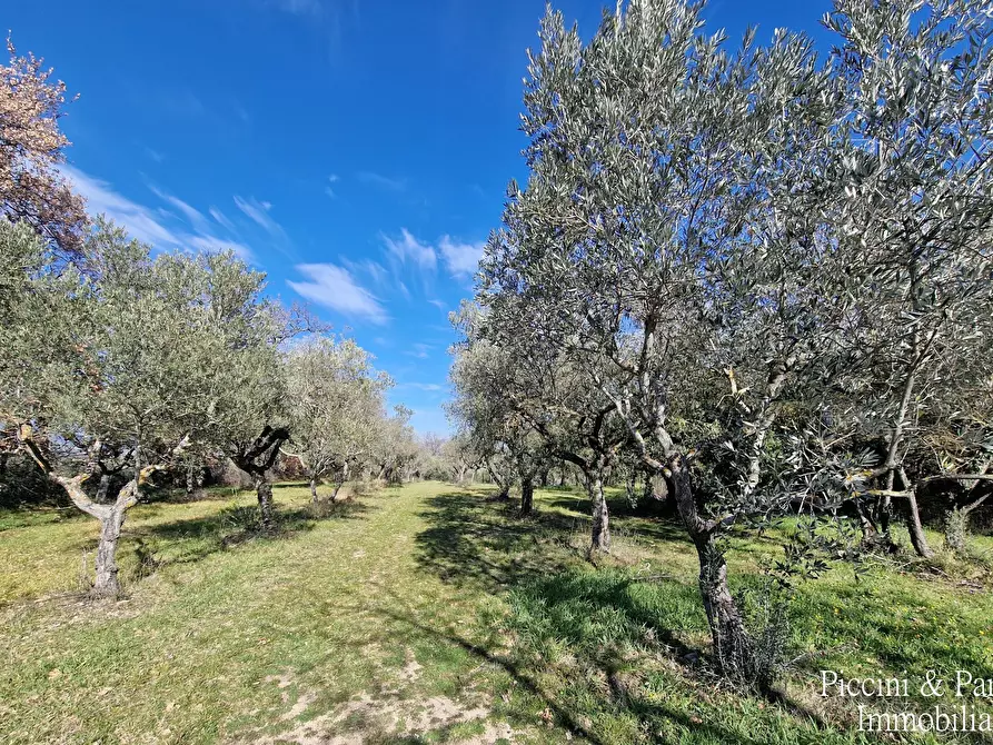 Immagine 78 di Agriturismo in vendita  in Località San Lorenzo a Castel Ritaldi