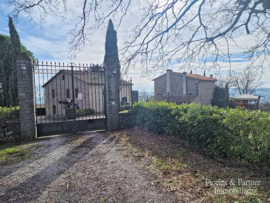 Immagine 82 di Rustico / casale in vendita  in Via del Conventaccio a Ficulle