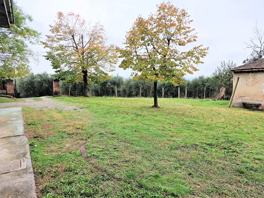 Immagine 63 di Rustico / casale in vendita  in Località Guidonami a Castiglione Del Lago