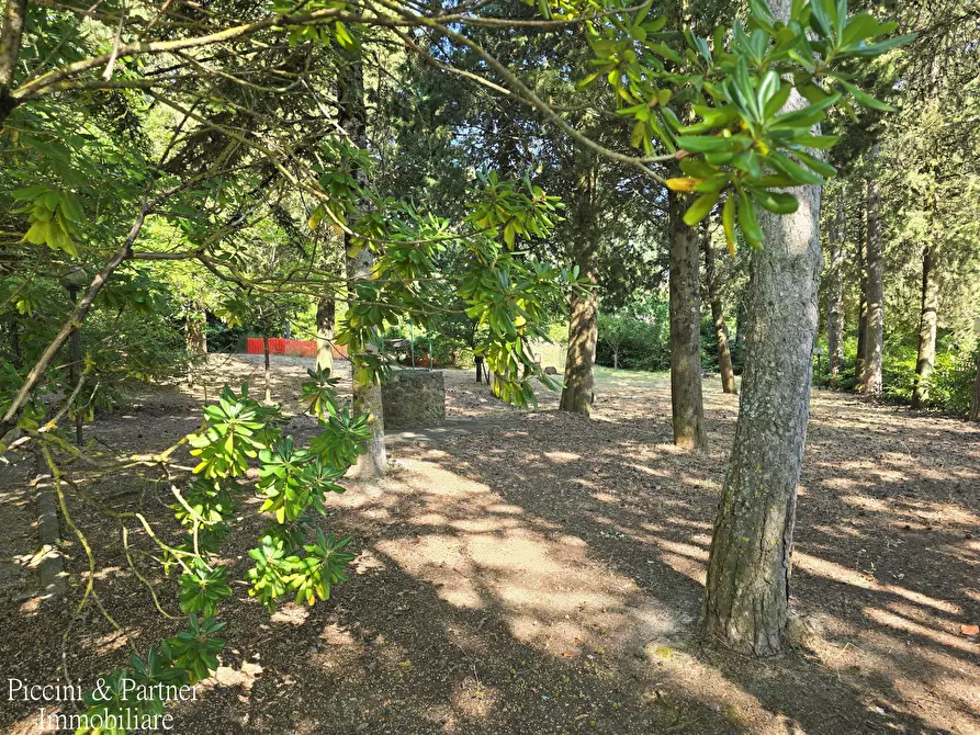 Immagine 7 di Baita in vendita  in Via dei Cespugli 10 a Passignano Sul Trasimeno